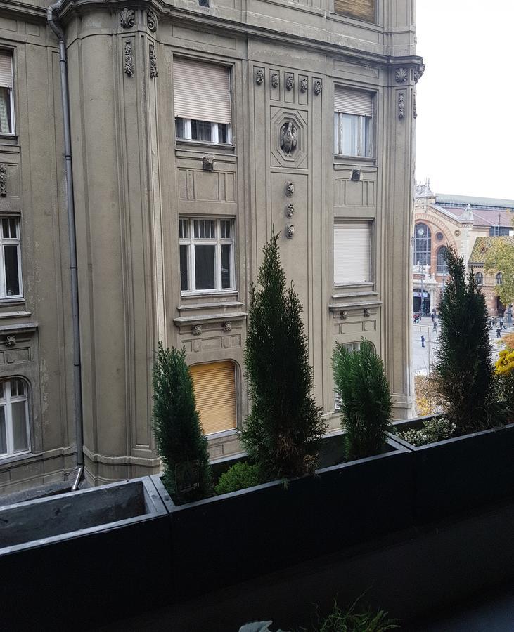 Butterfly Danube Bed and breakfast Budapest